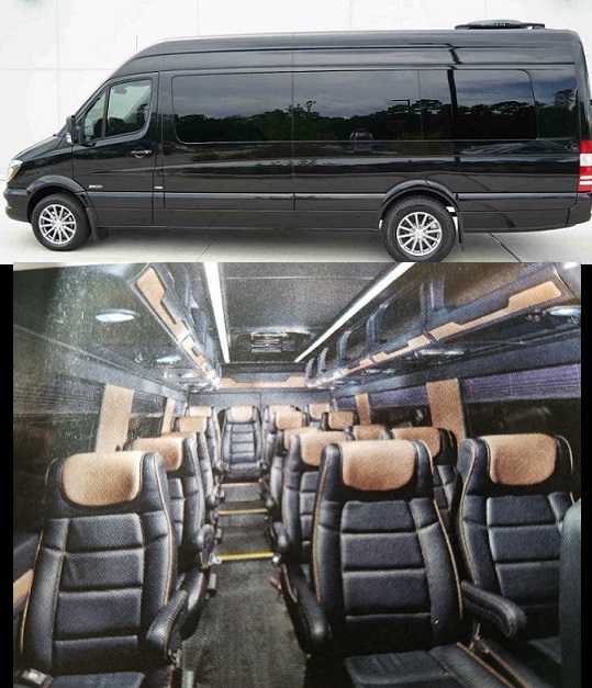luxury 15 passenger van for sale